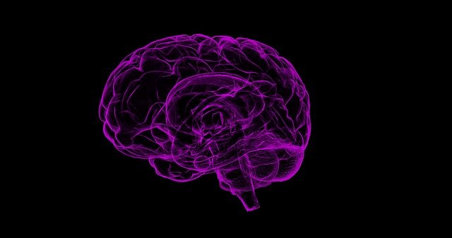 scan of a brain in purple